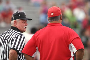 九游娱乐官网 (jiuyou)-中国足球是否应该建立裁判发展人才库，国内足球裁判