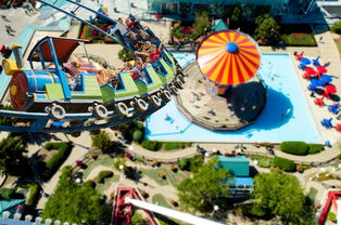 传播体育艺术跨界融合的最新资讯，体育传播策略